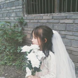 日本男子将女友女儿关进洗衣机：涉嫌杀人未遂被捕